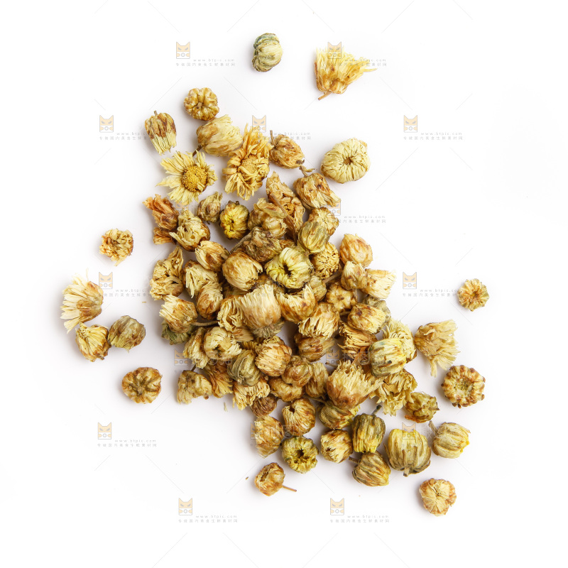 白底上放着胎菊
