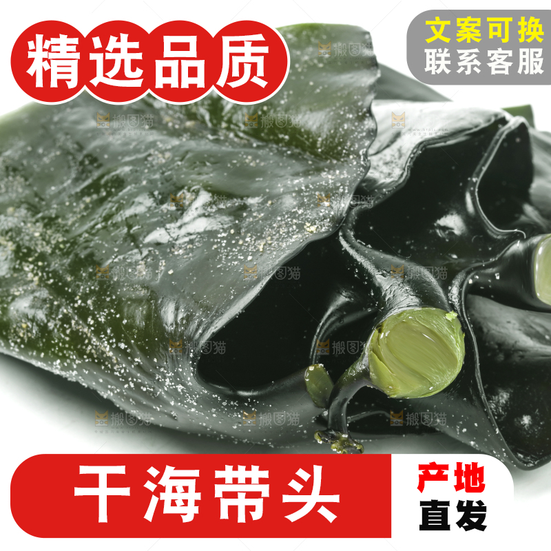 白底上摆放着海带头