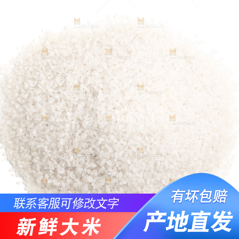 白底上的大米