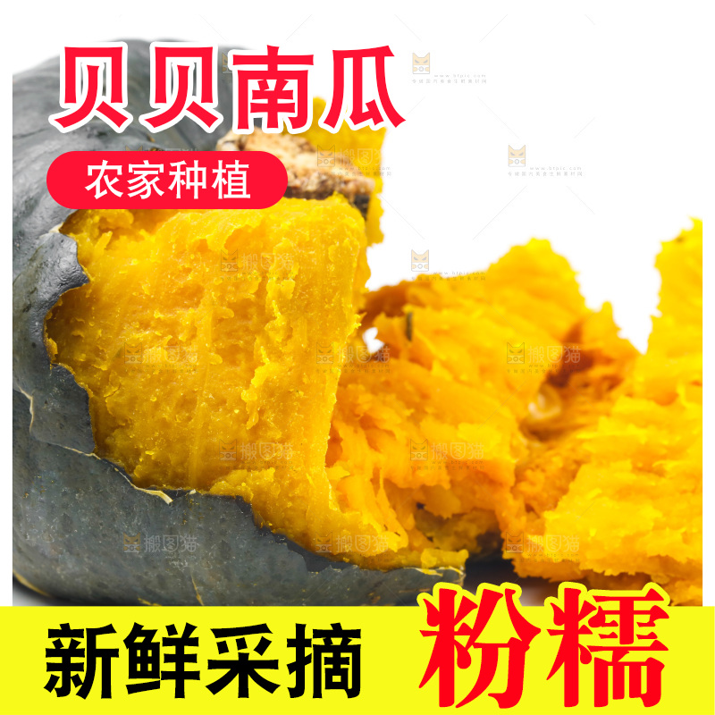 白底上摆放着板栗南瓜