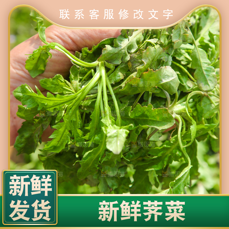 手里拿着地菜