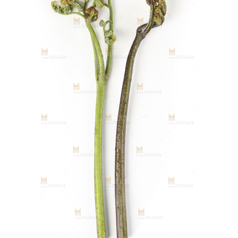 白底上放着拳头菜