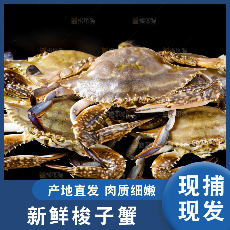 黑底上摆放着海螃蟹