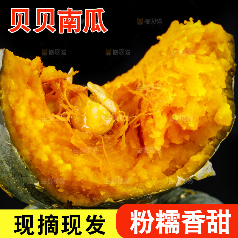 黑底上摆放着绿贝贝南瓜