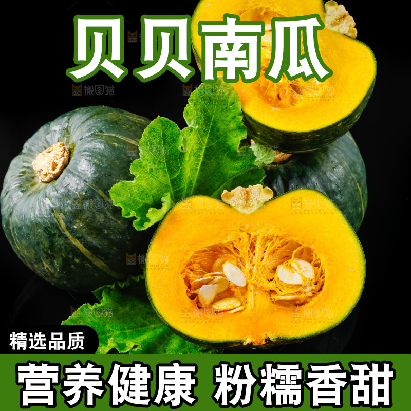 深底上摆放着贝贝小南瓜