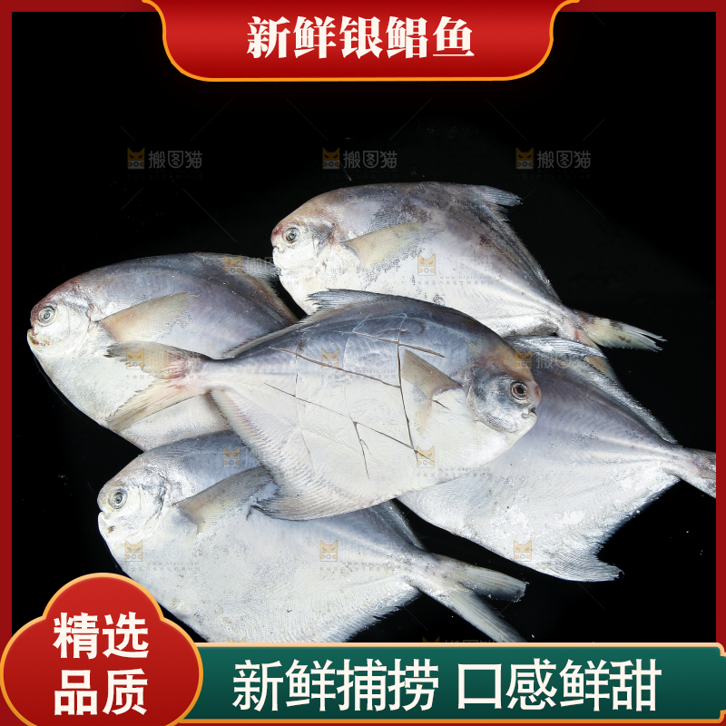 黑底上放着银鲳鱼