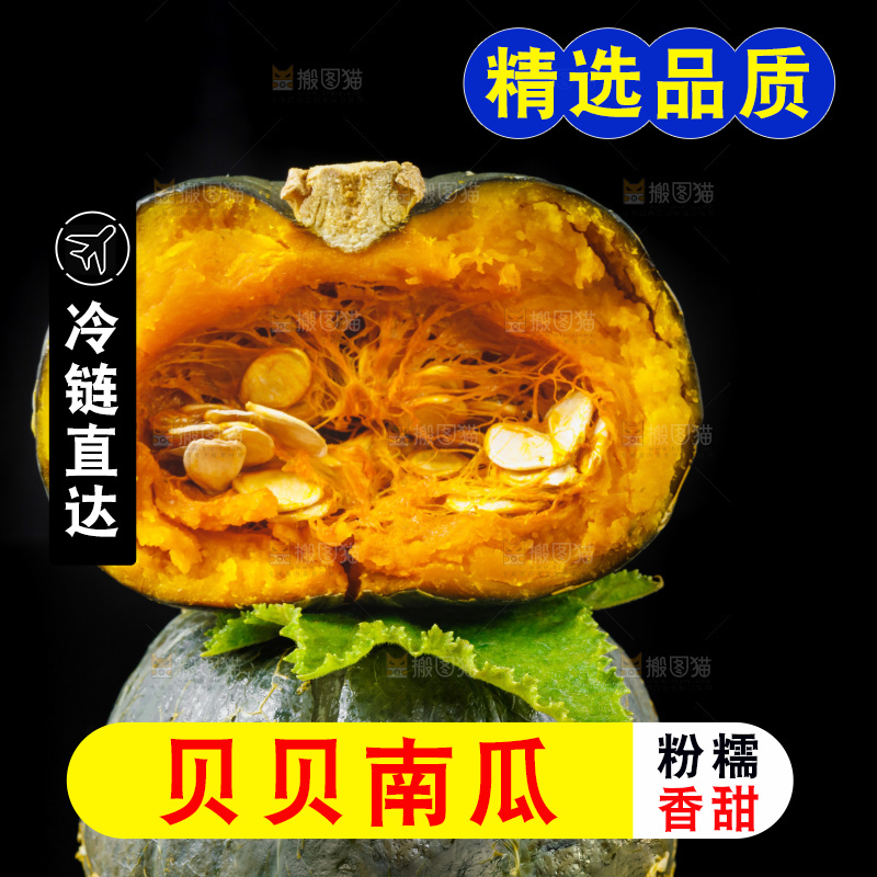 黑底上摆放着绿贝贝南瓜