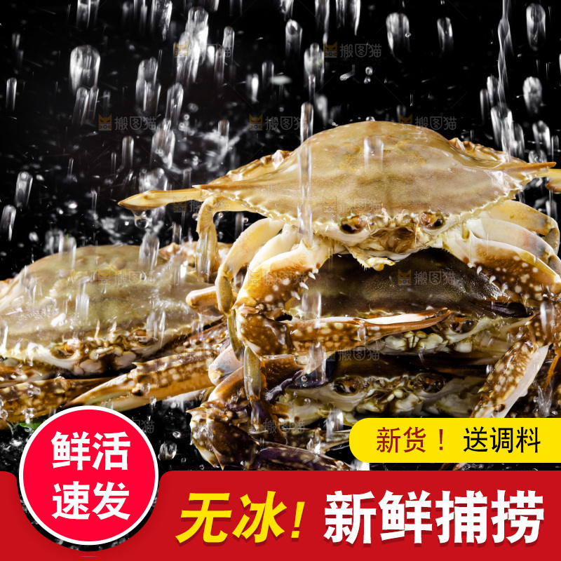 黑底上摆放着海螃蟹