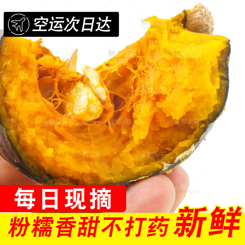 手里拿着板栗南瓜