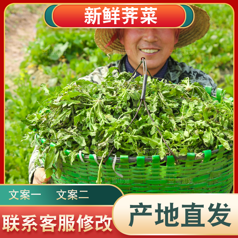 农民手里端着一篮新鲜荠菜