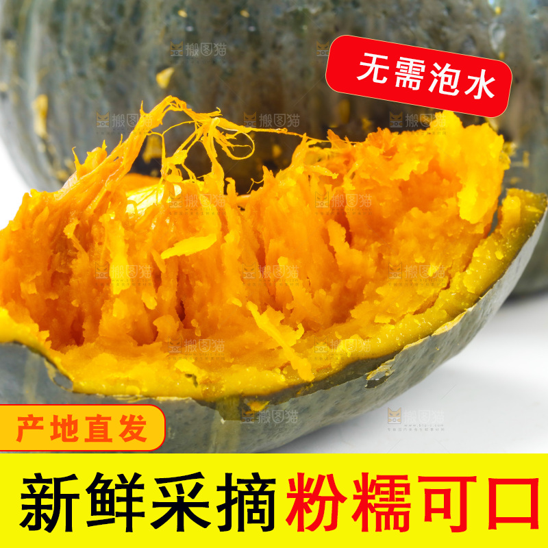 白底上摆放着绿贝贝南瓜