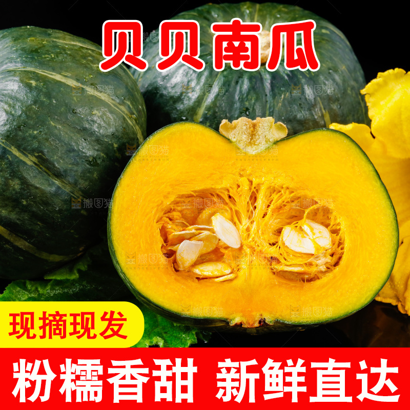 深底上摆放着贝贝小南瓜