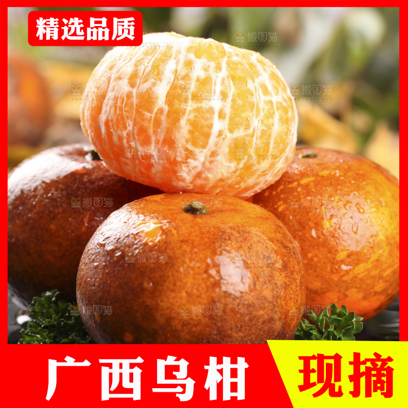 一堆新鲜乌柑