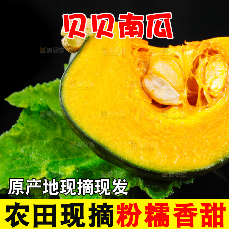 黑底上摆放着板栗南瓜