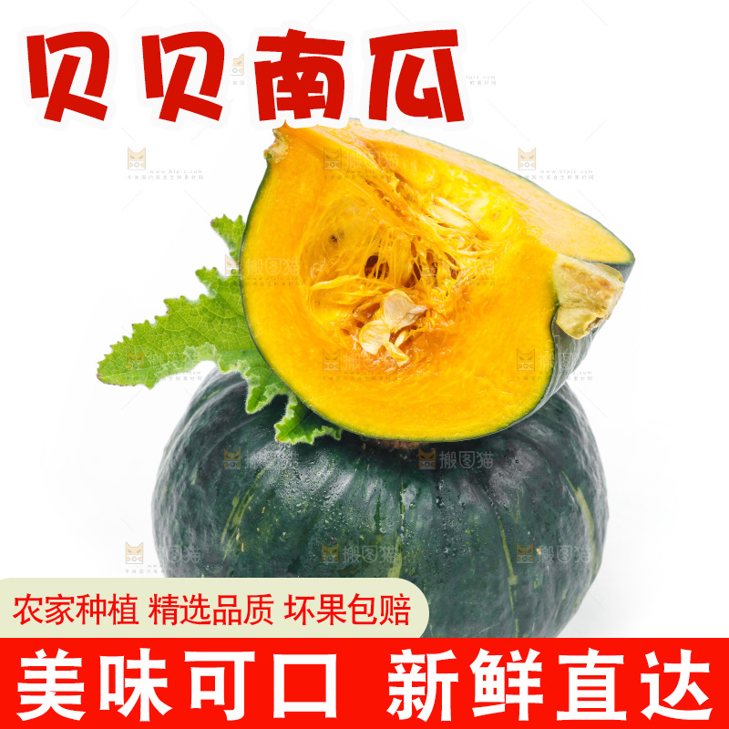 白底上摆放着绿贝贝南瓜