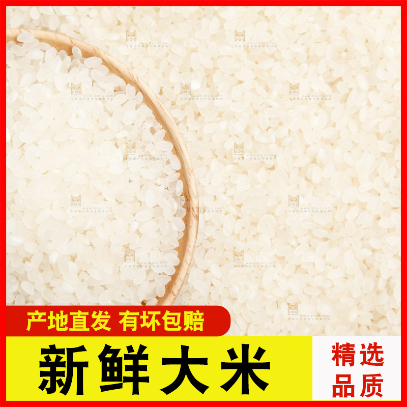大米背景纹理