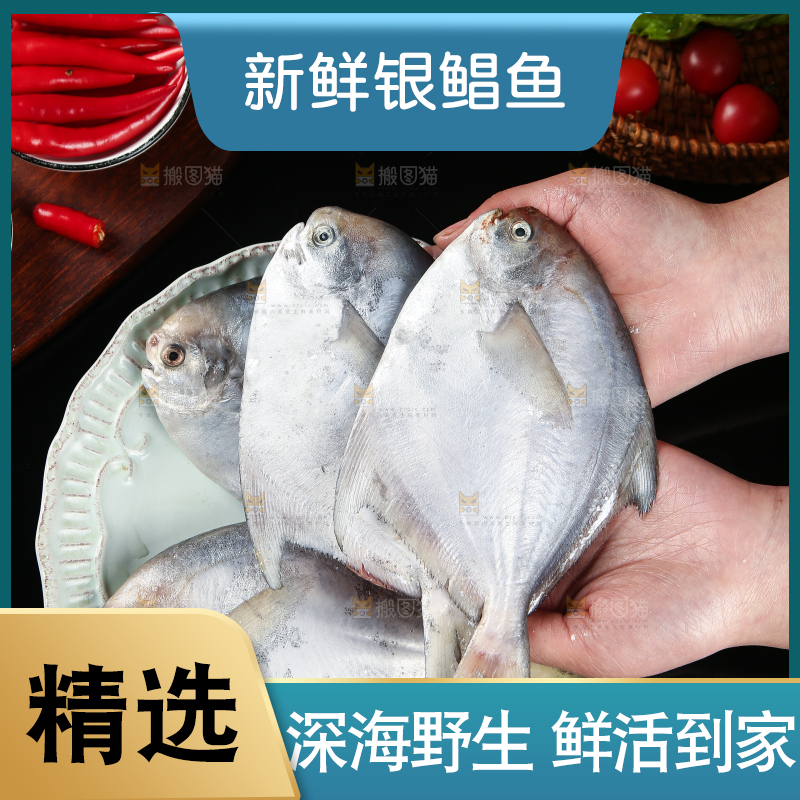 手里拿着银鲳鱼