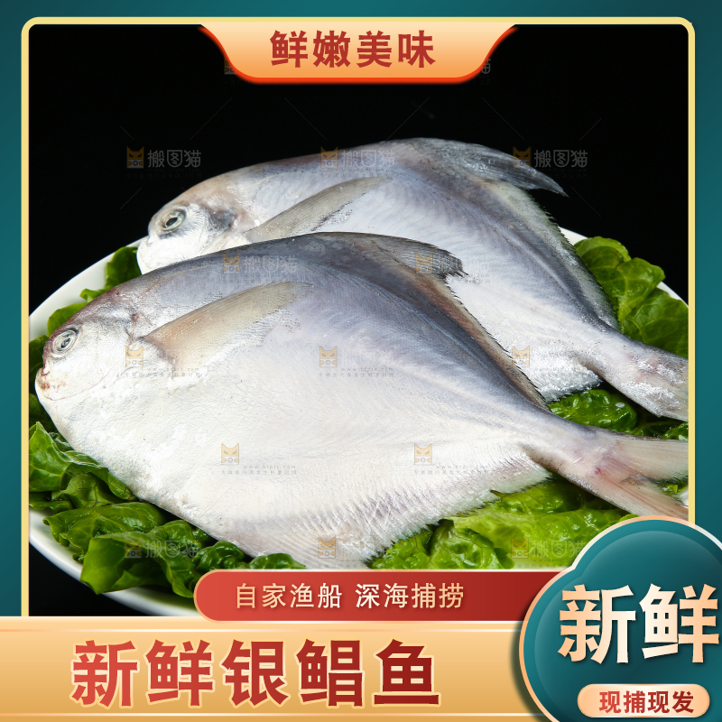 一盘新鲜银鲳鱼