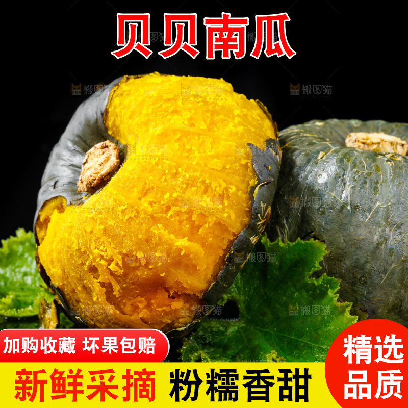 深底上摆放着贝贝小南瓜