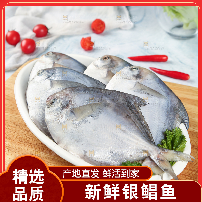 一盘野生银鲳鱼
