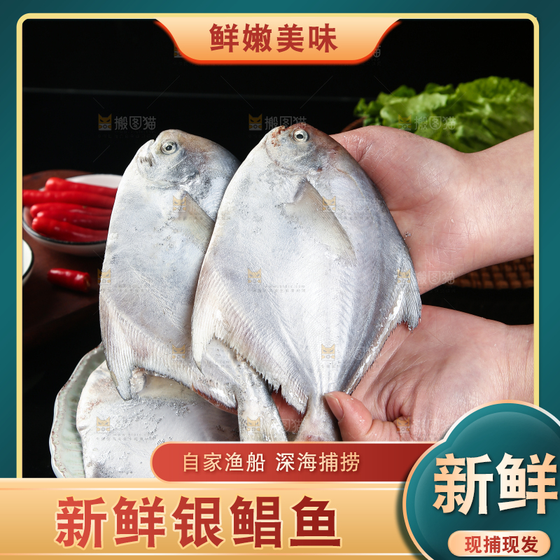 手里拿着银鲳鱼