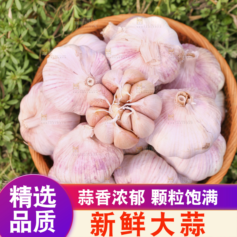 一篮多瓣蒜