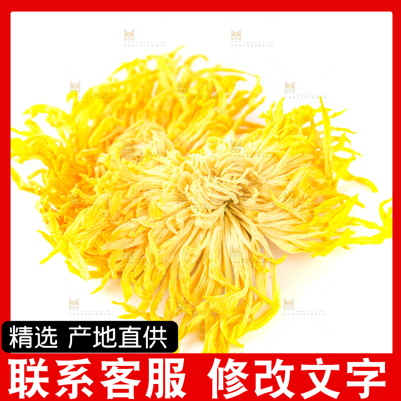 白底上放着金丝皇菊
