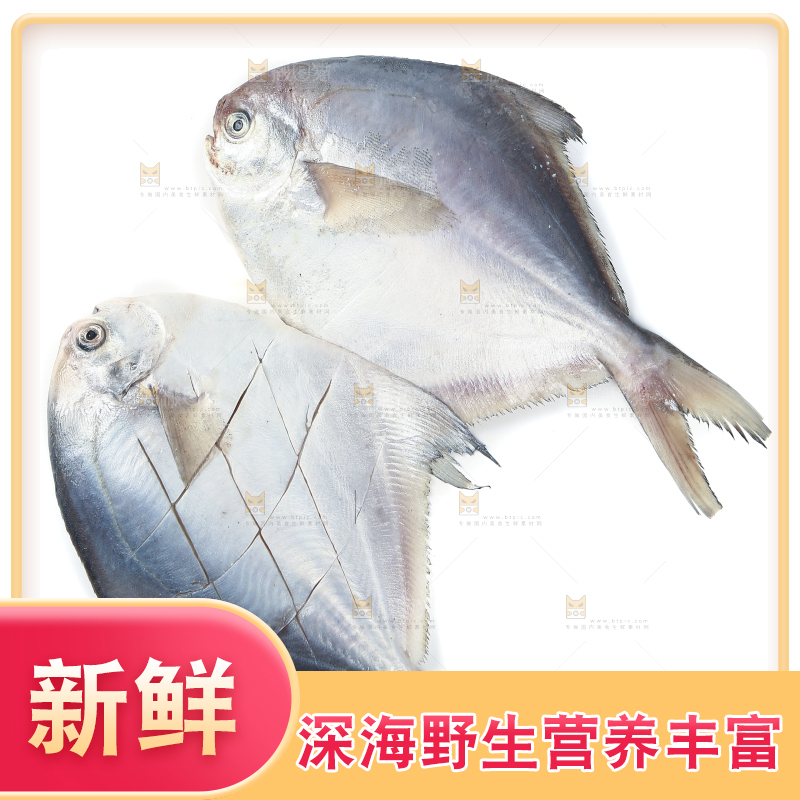 白底上放着新鲜银鲳鱼