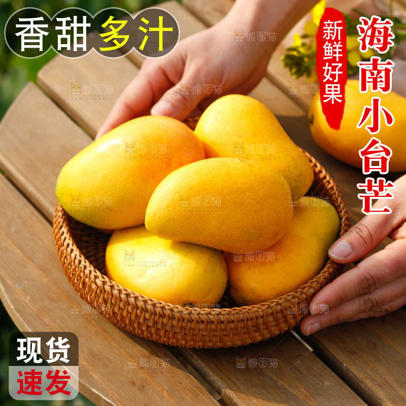 手里端着小台芒