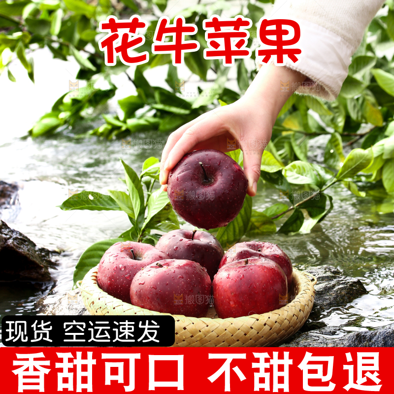 手里拿着一个天水花牛苹果