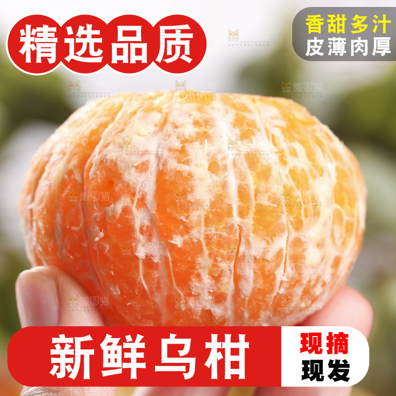 手里拿着乌柑果肉