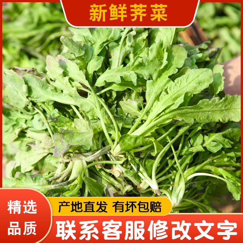 手里拿着荠菜