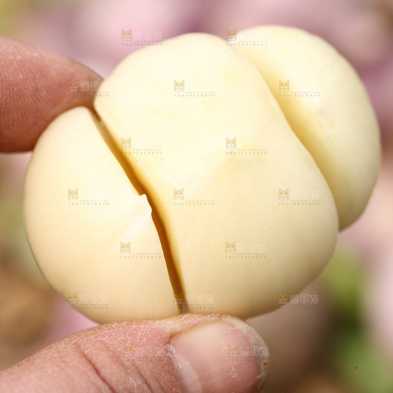 手里拿着三丫蒜