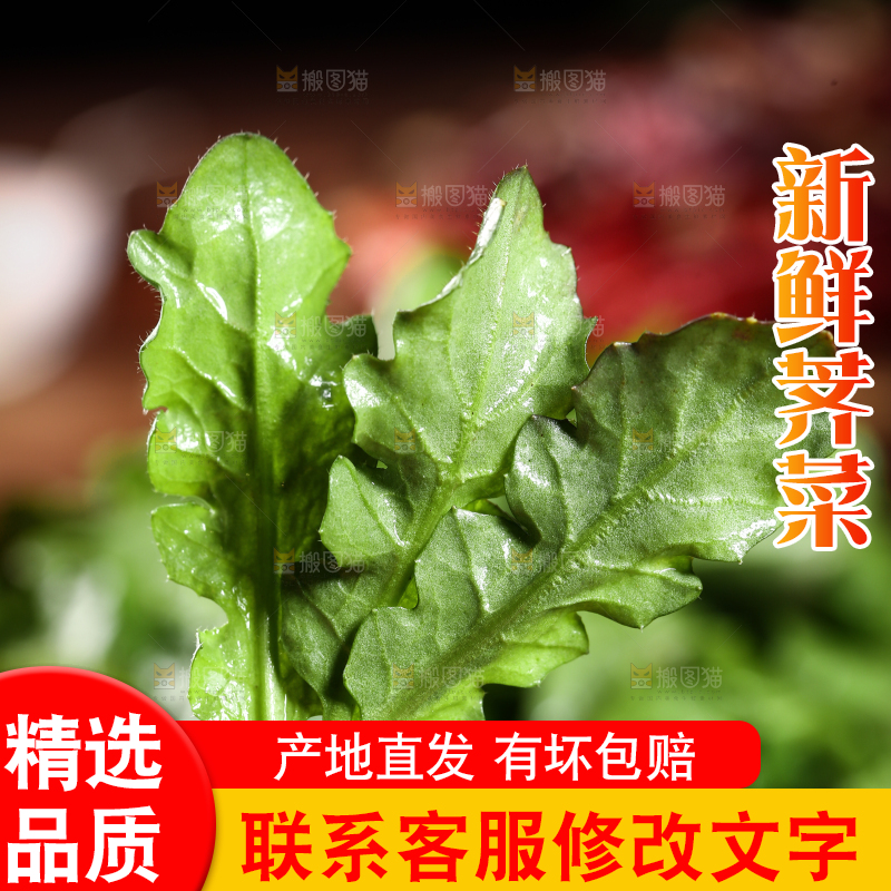 手里拿着地菜