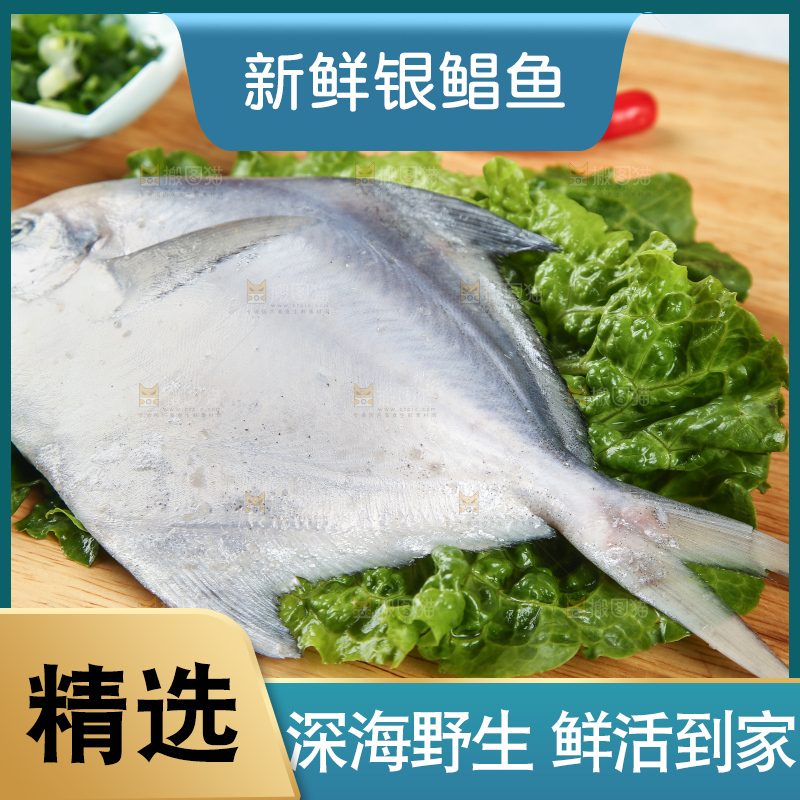 木板上放着海捕银鲳鱼