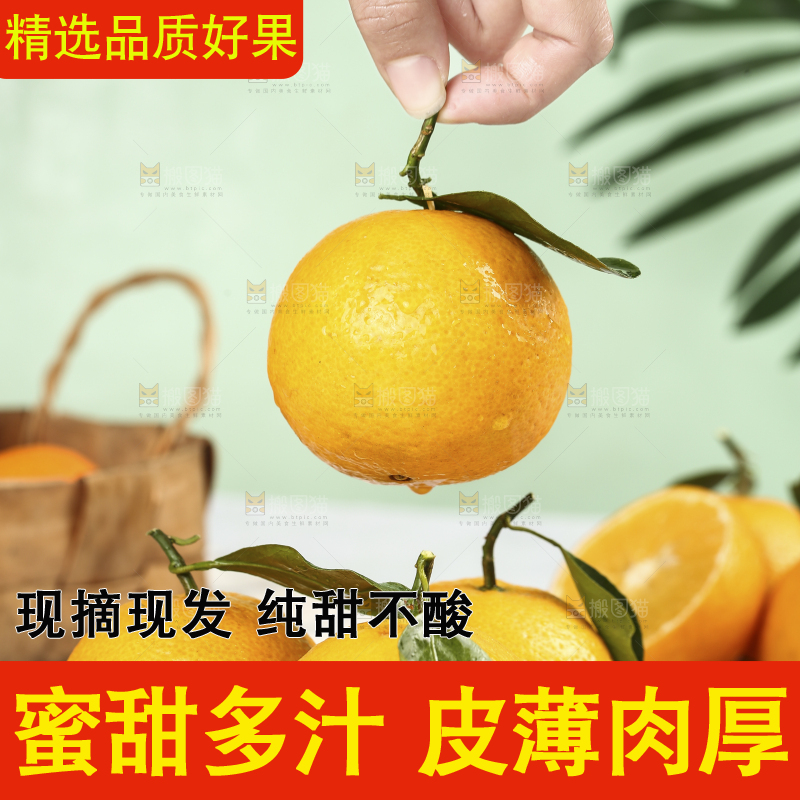 手里拿着皇帝贡柑
