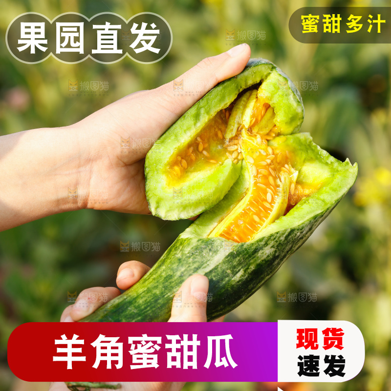 手里拿着羊角蜜甜瓜