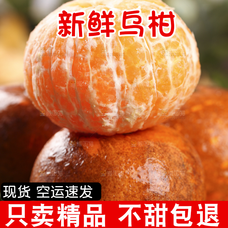 一堆新鲜乌柑