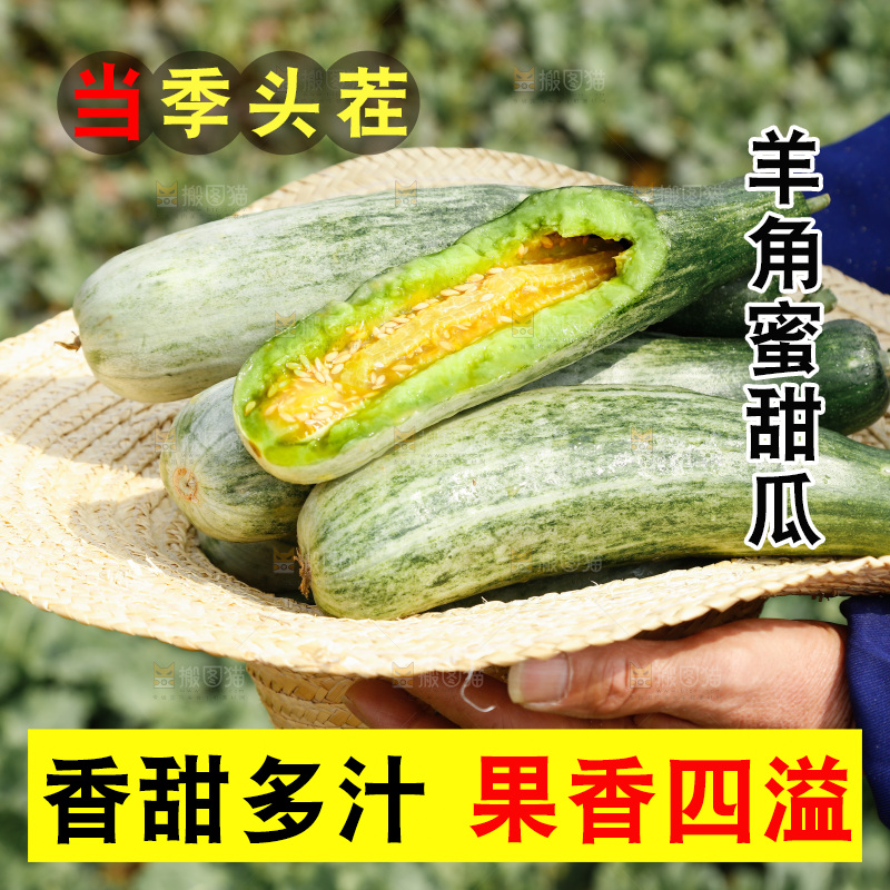 手里端着羊角蜜甜瓜