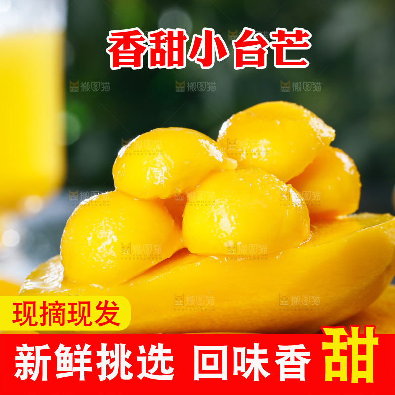 一堆新鲜小台芒