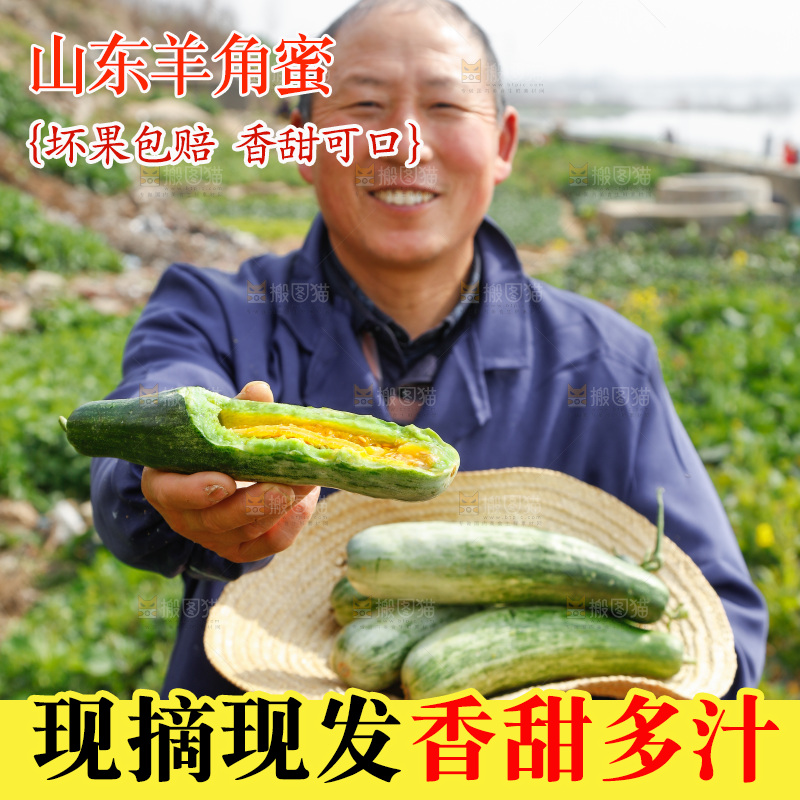 手里端着羊角蜜甜瓜