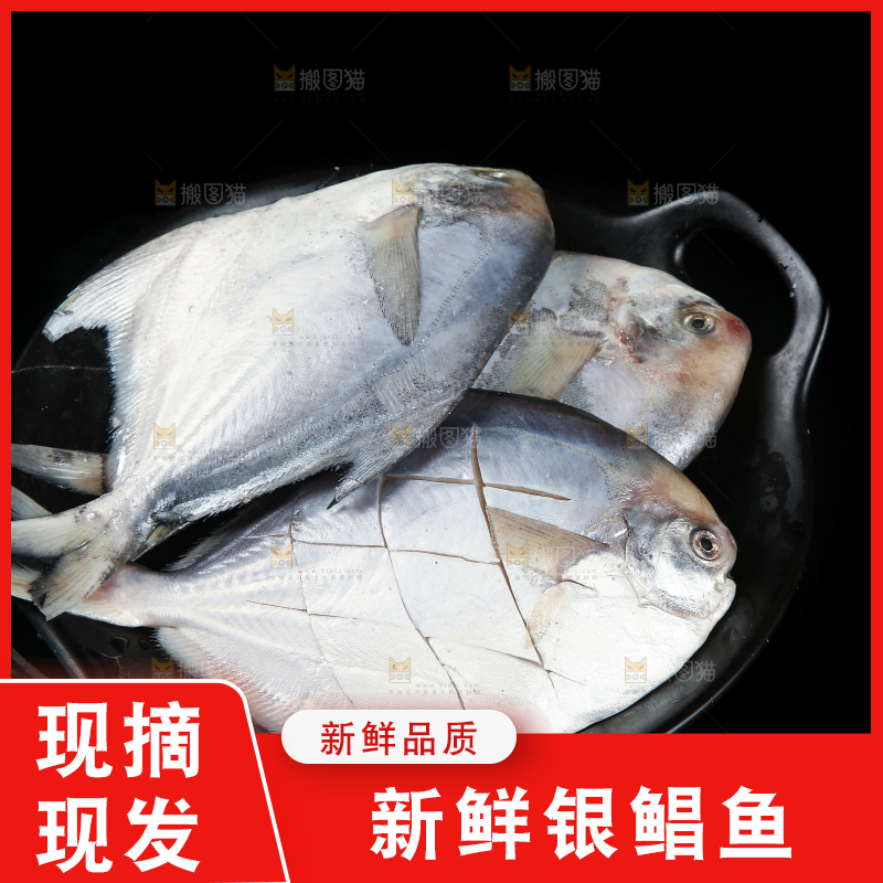 一盘新鲜银鲳鱼