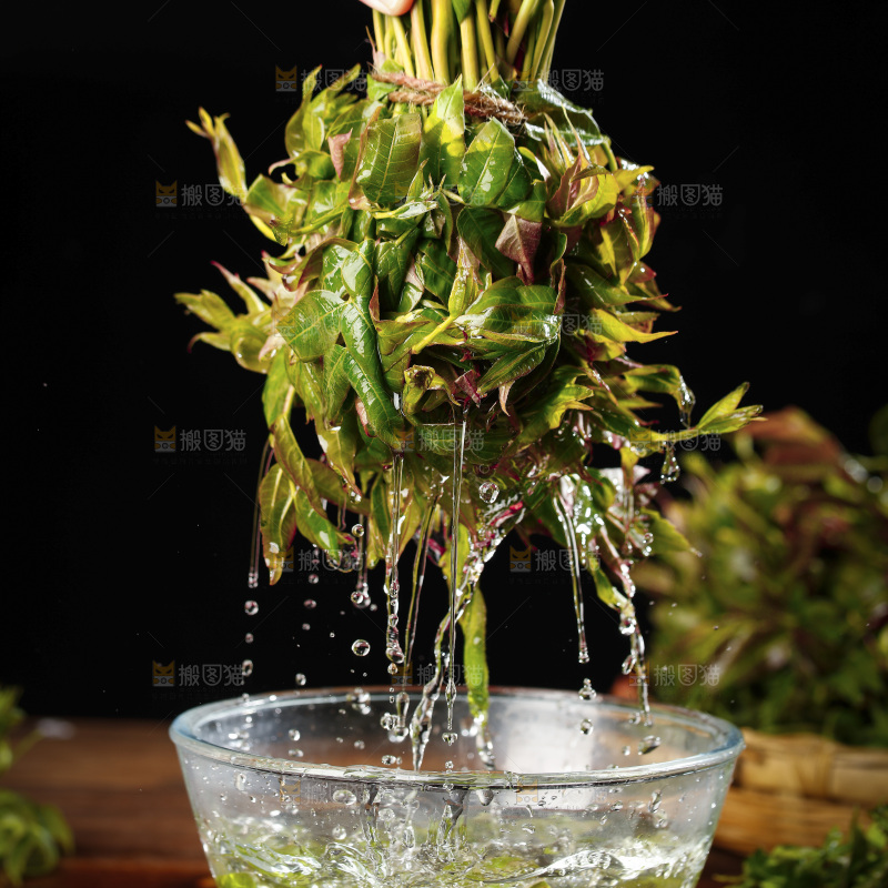 手里拿着头茬香椿芽