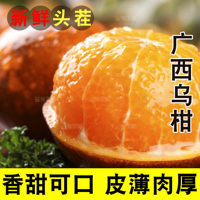 黑底上放着乌柑