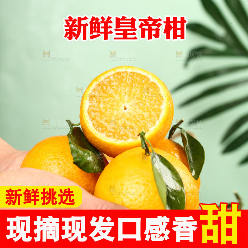 手里捧着皇帝柑