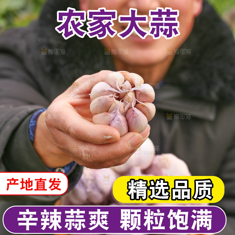 农民手里端着大蒜