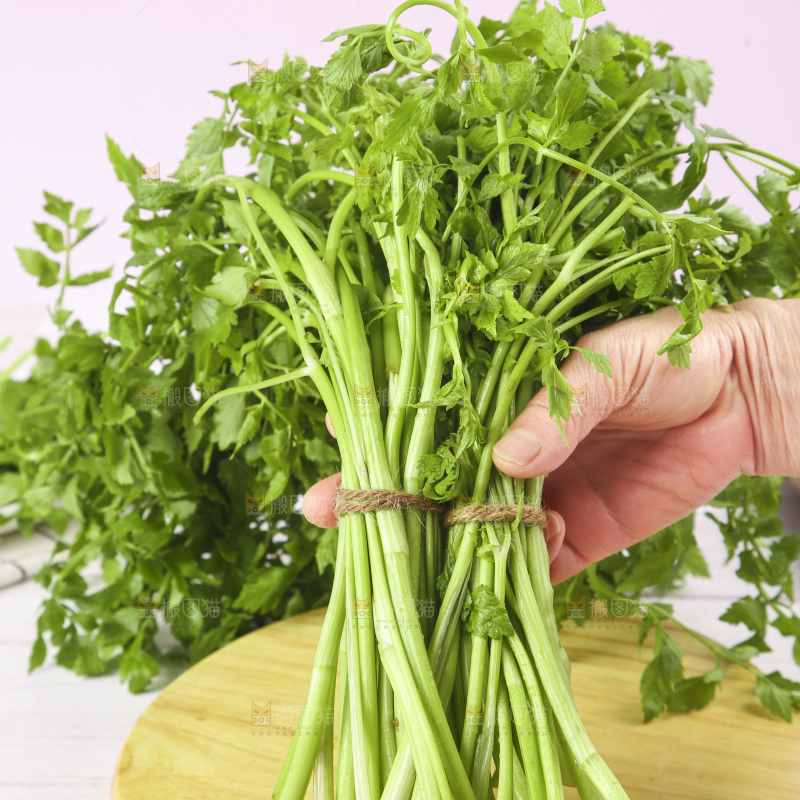 手里拿着山芹菜