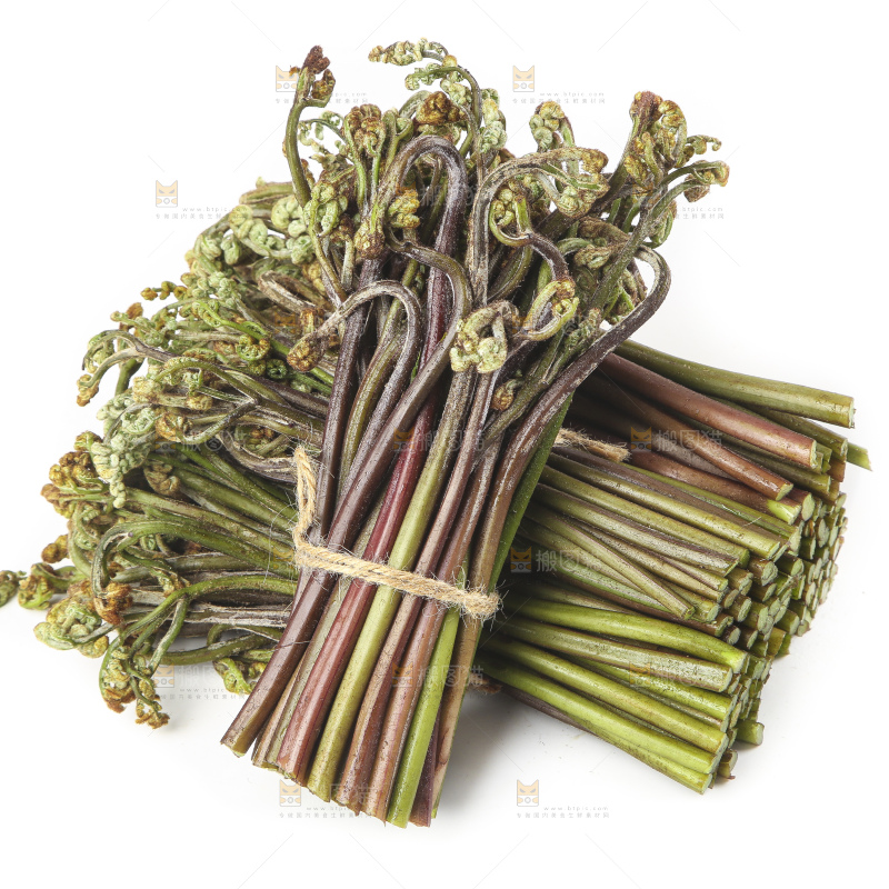 白底上放着野生蕨菜