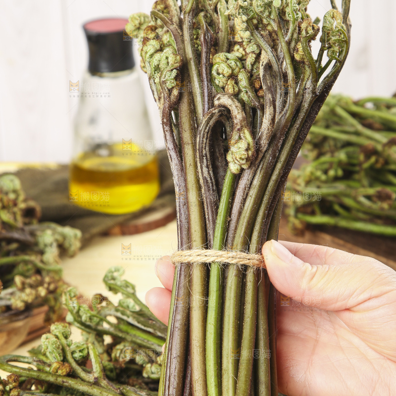 手里拿着一把蕨菜