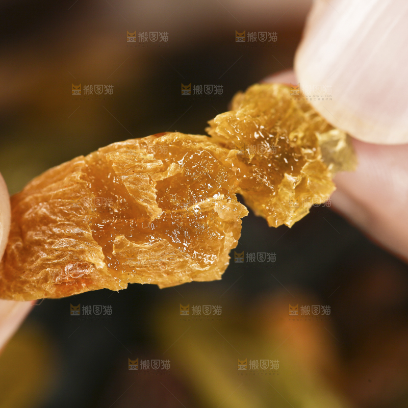 手里拿着树上黄葡萄干